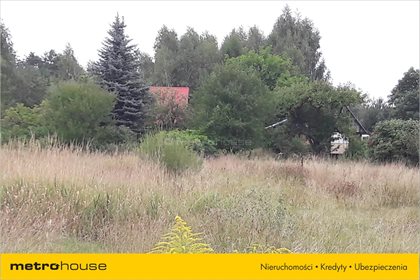 Dom na sprzedaż Żeliszew Duży, Kotuń 50m2 Foto 5