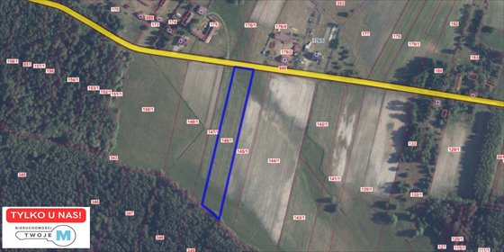działka na sprzedaż 8000m2 działka Kluczewsko, Stanowiska