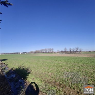 działka na sprzedaż 4752m2 działka Strzeżewko