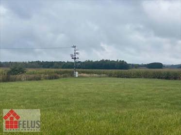 działka na sprzedaż 31827m2 działka Rybna