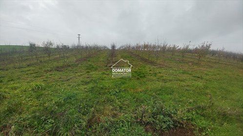 działka na sprzedaż 1500m2 działka Tryszczyn