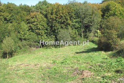 Działka budowlana na sprzedaż Sucha Beskidzka, Pikieta 1 620m2 Foto 2