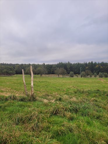 działka na sprzedaż 1200m2 działka Leśna, Świecie