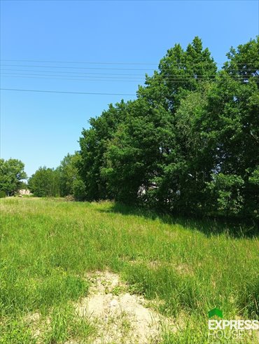 działka na sprzedaż 1200m2 działka Olesin, Staropolska
