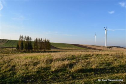 działka na sprzedaż 10001m2 działka Klimkówka