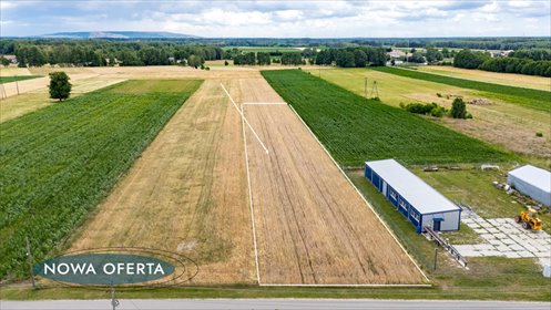 działka na sprzedaż 3000m2 działka Dubie