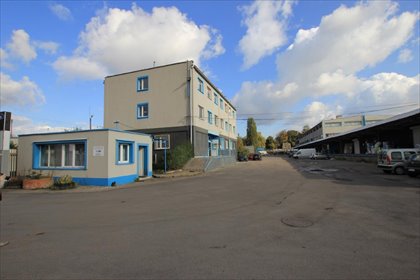 Magazyn na wynajem Sosnowiec, Pogoń, Ptasia 266m2 Foto 6