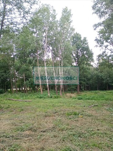 Działka 1800 m² w Kozerkach - polecam działka Kozerki