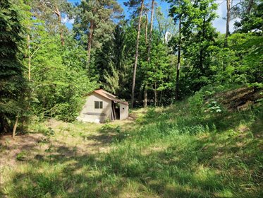 Za tanio na taką działkę? Sprawdź haczyk! działka Grotniki, Kolejowa