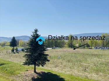 Malownicza działka 707 m² w Miszkowicach – blisko jeziora! działka Miszkowice, Miszkowice
