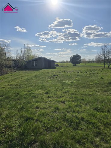 działka na sprzedaż 3892m2 działka Tręby Stare
