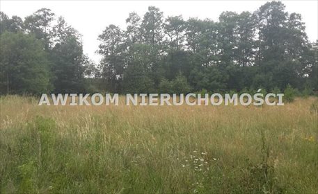 Polecam słoneczną działkę 1593 m² w Adamów-Wieś działka Radziejowice, Adamów-Wieś