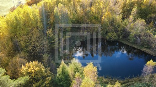 działka na sprzedaż 3000m2 działka Gromadzin