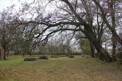 działka na sprzedaż 3000m2 działka Gąbin, Kielniki