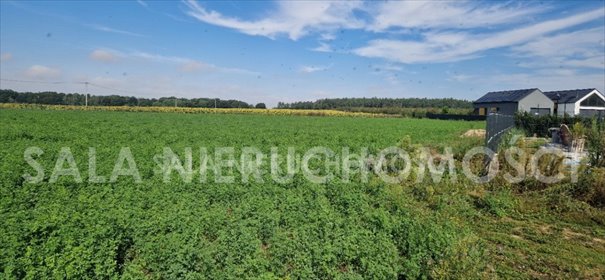 Sprzedam działkę 3052 m² z WZ na 2 domy w Mochle działka Mochle