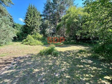 Na sprzedaż działka rekreacyjna 961 m² w Radachówce działka Radachówka, Radachówka
