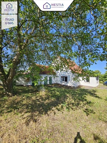 Dom z potencjałem na dużej działce 5600 m² w Lubieszynie polecam! dom Lubieszyn