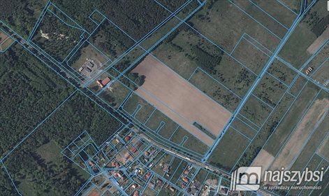Działka rolna na sprzedaż Grabno, Grabno 12 000m2 Foto 2