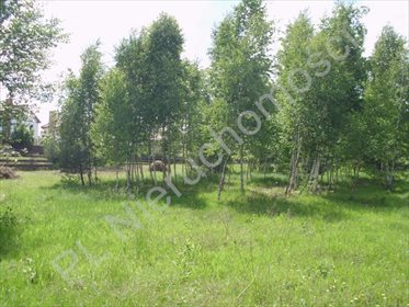 działka na sprzedaż 1500m2 działka Czarny Las