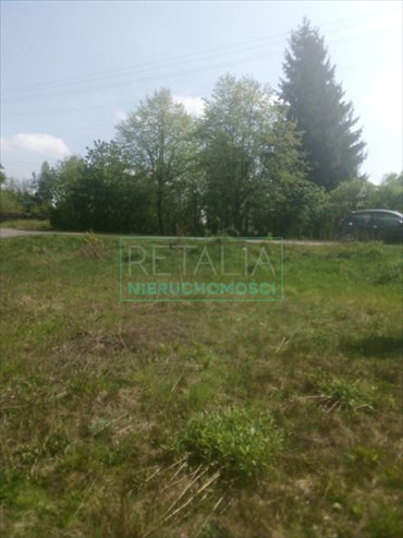 działka na sprzedaż 10000m2 działka Wręcza A