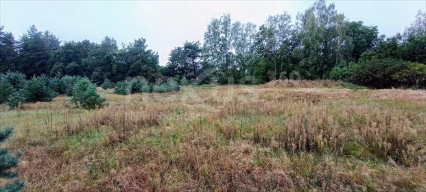 działka na sprzedaż 3568m2 działka Domasławice