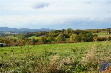 działka na sprzedaż 5900m2 działka Kostrza