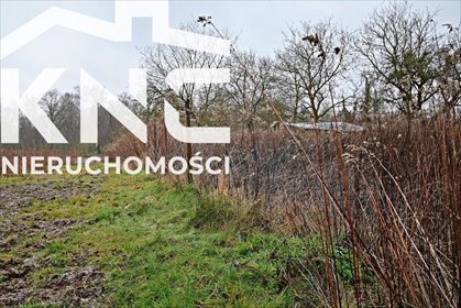 działka na sprzedaż 3000m2 działka Kazimierz Dolny