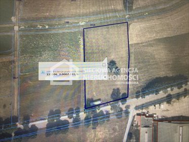 działka na sprzedaż 5000m2 działka Karwieńskie Błoto Pierwsze