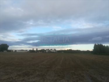 działka na sprzedaż 13571m2 działka Wola Łuszczewska, Marysinek