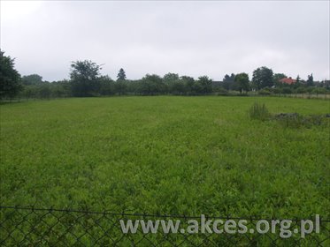 działka na sprzedaż 5300m2 działka Piaski