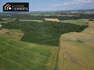 Polecam urokliwą działkę 9 977 m² z możliwością zabudowy i rekultywacji stawu działka Szczodrowo