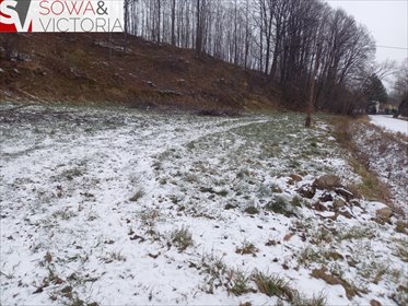 Sprzedam słoneczną działkę 5500 m² z lasem w Chwaliszowie działka Chwaliszów