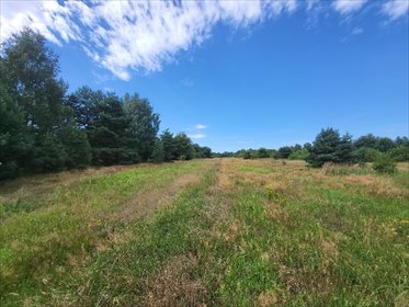 działka na sprzedaż 17200m2 działka Konopiska, Konopiska