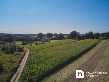 Działka budowlana na sprzedaż Pierwoszów, Ogrodowa 1 500m2 Foto 2