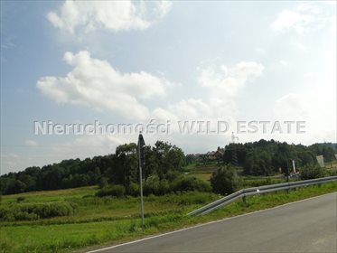 działka na sprzedaż 6659m2 działka Myczków