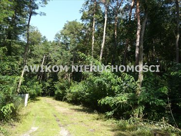 Działka 4035 m² w Olszance z unikalnym drzewostanem - polecam! działka Olszanka