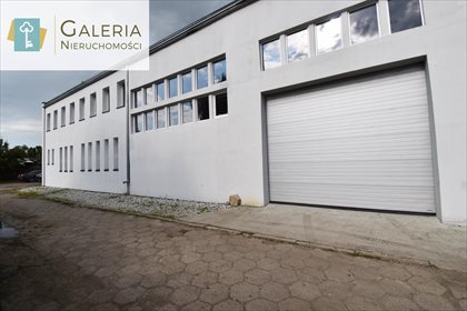 Lokal użytkowy na sprzedaż Markusy 317m2 Foto 3