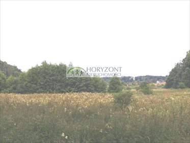 działka na sprzedaż 5800m2 działka Małkowo
