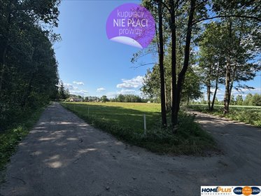 działka na sprzedaż 12500m2 działka Chrzęsne