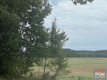 działka na sprzedaż 4600m2 działka Ościęcin