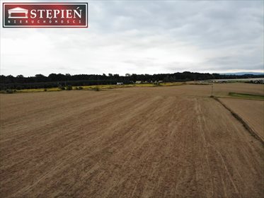 Działka inna na sprzedaż Krzewie Małe 7 600m2 Foto 2