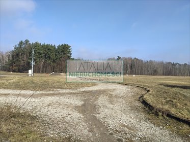 Działka budowlana 1920 m² w spokojnej okolicy z dostępem do mediów działka Stara Wieś