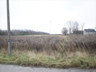 Działka budowlana na sprzedaż Horbów-Kolonia 10 000m2 Foto 1