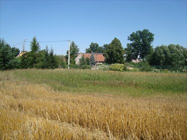 Urokliwa działka 1500 m² w Szymanowie - polecam! działka Szymanów