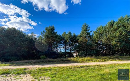 Działka 1185 m² z warunkami zabudowy - Krępsko działka Krępsko