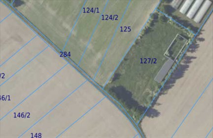 działka na sprzedaż 7000m2 działka Ścinawa, Jana Dzierżonia