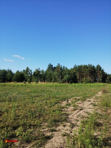Działka 1,22 ha z potencjałem inwestycyjnym w Wólce działka Wólka