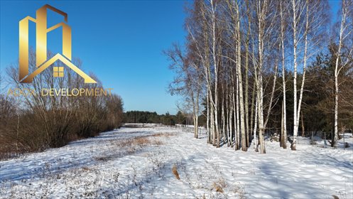 działka na sprzedaż 3000m2 działka Adamów Drwalewski