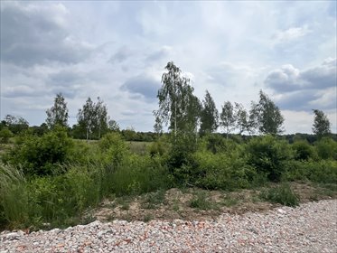 Działka 1200 m² z warunkami zabudowy, blisko natury działka Wieliszew, Wieliszew, Modlińska