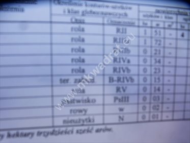 Dom na sprzedaż Piorunów 100m2 Foto 4